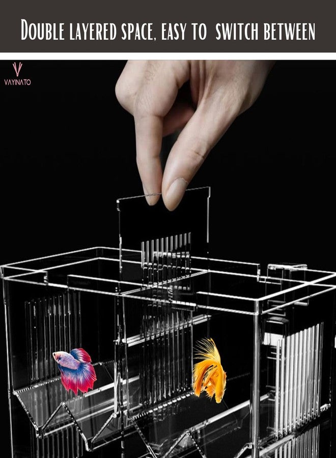 VAYINATO® Double Deck Hook Type Multifunctional Isolation Box | Small Fish Fry Seedling Spawning Aquarium Breeding Box | Double Sucker Can be Replaced by Petzlifeworld - Image 3